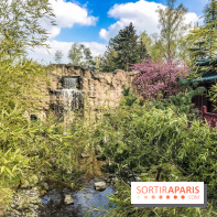 La Mer de Sable 2019, les photos