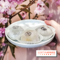 La Maison du Mochi, les photos