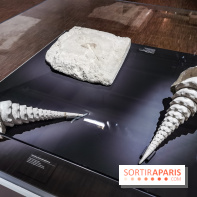 Exposition Préhistoire, un invention moderne au Centre Pompidou, les photos