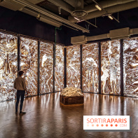 Exposition Préhistoire, un invention moderne au Centre Pompidou, les photos