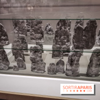 Exposition Préhistoire, un invention moderne au Centre Pompidou, les photos