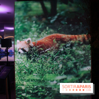 Unexpected China, l'espace éphémère à Paris