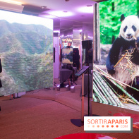 Unexpected China, l'espace éphémère à Paris