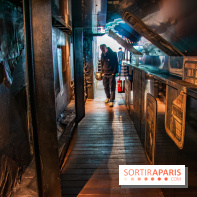 Exposition Swoon à Fluctuart