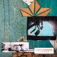 Exposition Swoon à Fluctuart