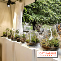 Jardins Jardin aux Tuileries 2019