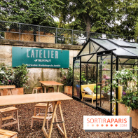 Jardins Jardin aux Tuileries 2019