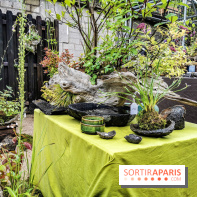 Jardins Jardin aux Tuileries 2019