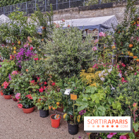 Jardins Jardin aux Tuileries 2019