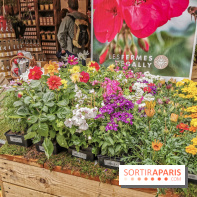 Jardins Jardin aux Tuileries 2019