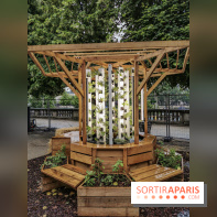 Jardins Jardin aux Tuileries 2019