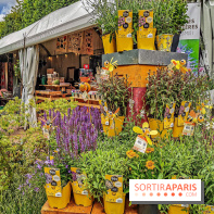 Jardins Jardin aux Tuileries 2019
