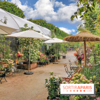 Jardins Jardin aux Tuileries 2019