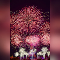 Photos du feu d'artifice de Paris 2019