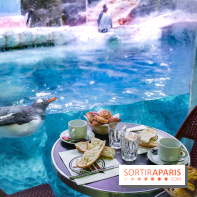 Les petits déjeuners avec les manchots de l'aquarium Sea Life