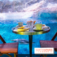 Les petits déjeuners avec les manchots de l'aquarium Sea Life