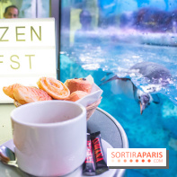 Les petits déjeuners avec les manchots de l'aquarium Sea Life