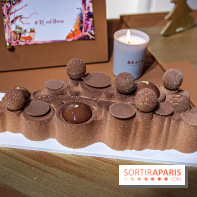 Bûches de NoëlBrach Paris  2019