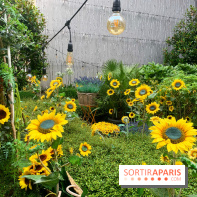 Jardin du Joy été 2019 