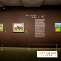 Du Douanier Rousseau à Séraphine, les naïfs au musée Maillol