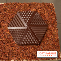 Chocolats de Noël 2019 de Ducasse