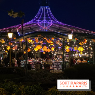 Visuels Disneyland Paris nuit