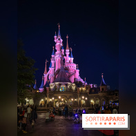 Visuels Disneyland Paris château nuit