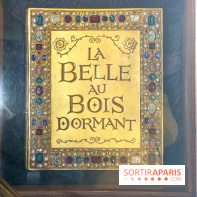 Visuels Disneyland Paris - château belle au bois dormant