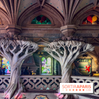 Visuels Disneyland Paris - château belle au bois dormant