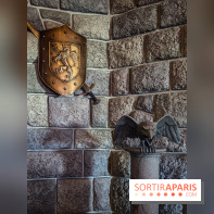 Visuels Disneyland Paris - château belle au bois dormant