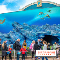 Visuels Disneyland Paris Crush's Coaster