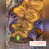 Visuels Disneyland Paris château