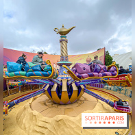 Visuels Disneyland Paris Aladdin Flying Carpet