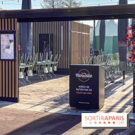 Visuels Disney Village - Petite Rosalie