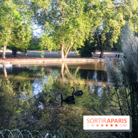 Le Jardin de l'Amour du Château de Cheverny