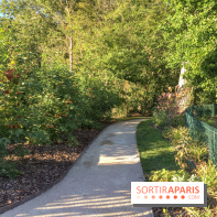 Le Jardin de l'Amour du Château de Cheverny