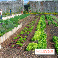 Le Château de Chambord fête ses 500 ans : le programme des festivités