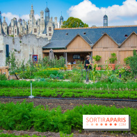 Le Château de Chambord fête ses 500 ans : le programme des festivités