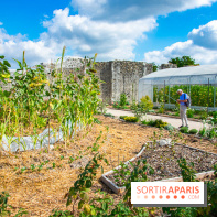 Le Château de Chambord fête ses 500 ans : le programme des festivités