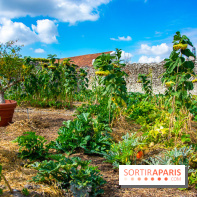 Le Château de Chambord fête ses 500 ans : le programme des festivités