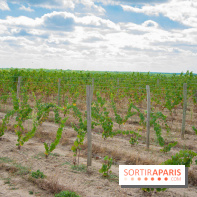 Le Château de Chambord fête ses 500 ans : le programme des festivités