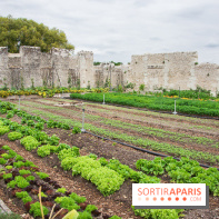 Le Château de Chambord fête ses 500 ans : le programme des festivités