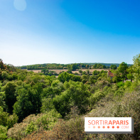 Le Château de Vault-de-Lugny - excursions dans la région