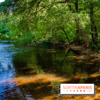 Le Château de Vault-de-Lugny - excursions dans la région