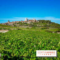 Le Château de Vault-de-Lugny - excursions dans la région
