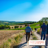 Le Château de Vault-de-Lugny - excursions dans la région