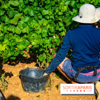 Le Château de Vault-de-Lugny - excursions dans la région