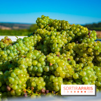 Le Château de Vault-de-Lugny - excursions dans la région
