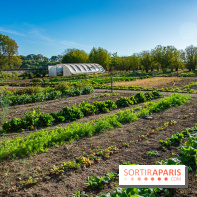 Le Château de Vault-de-Lugny, un écrin royal à deux heures de Paris