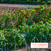 Le Château de Vault-de-Lugny, un écrin royal à deux heures de Paris